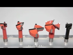 O carboneto de tungstênio da pata 10x20mm introduziu o bocado de broca de madeira do furo da ponta